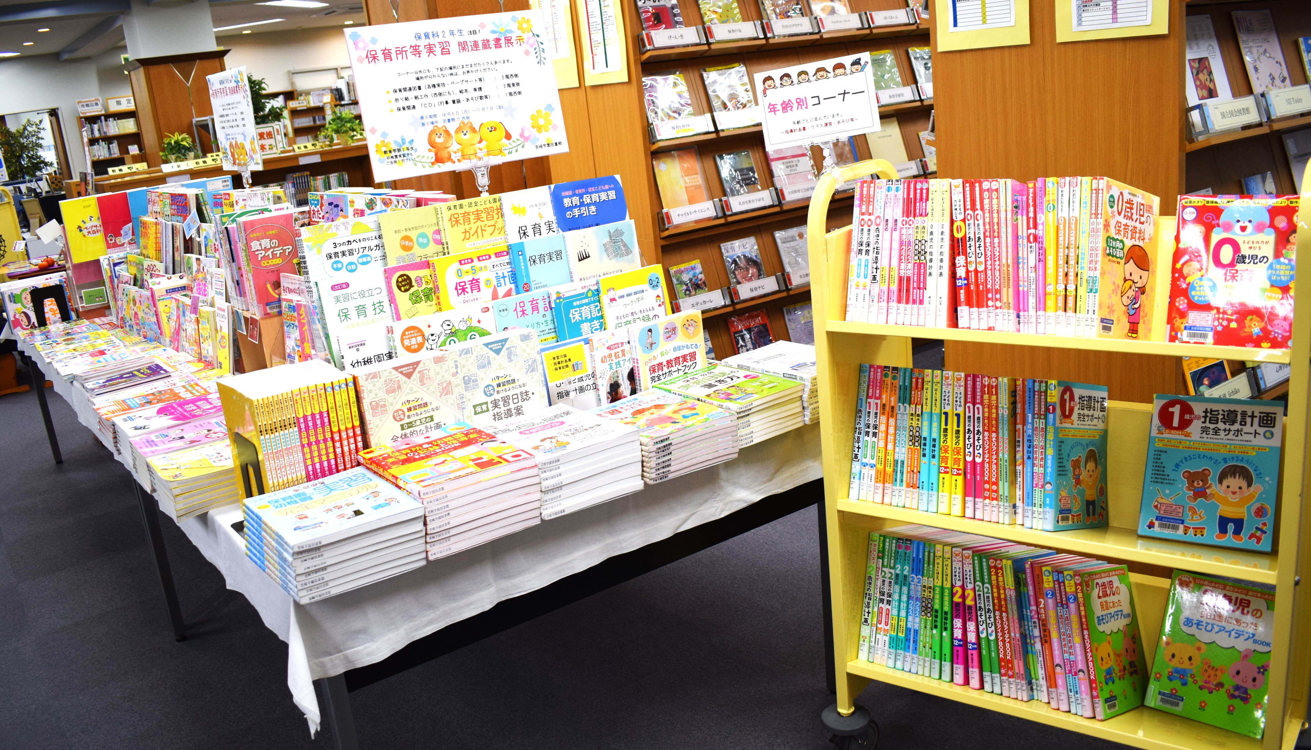 保育所等実習関連蔵書展示全体図