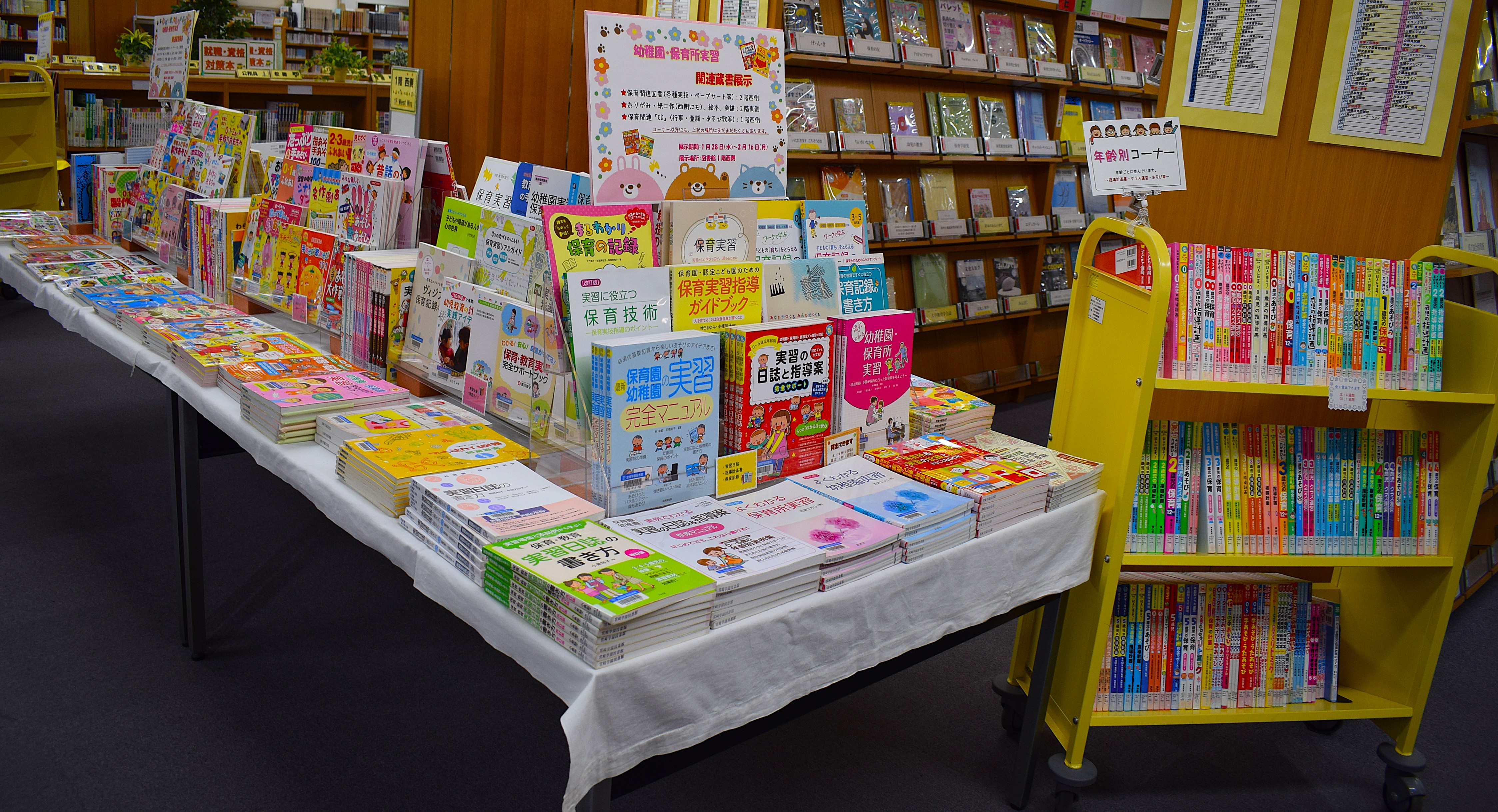 幼稚園保育所実習蔵書展示全体図